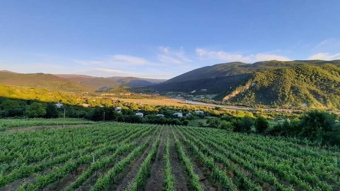 Chateau Dio Ambrolauri Eksteriør bilde