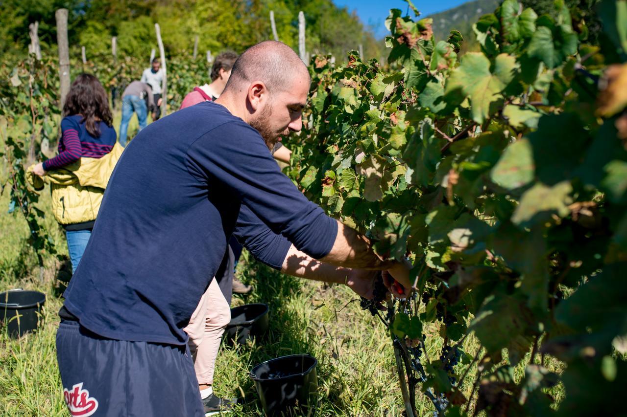 Chateau Dio Ambrolauri Eksteriør bilde