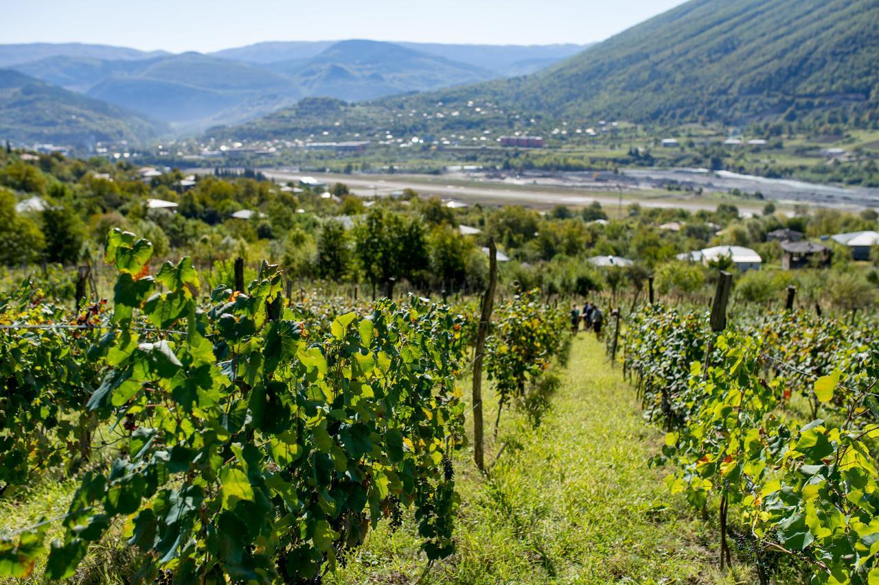 Chateau Dio Ambrolauri Eksteriør bilde