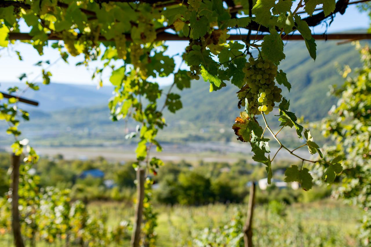 Chateau Dio Ambrolauri Eksteriør bilde