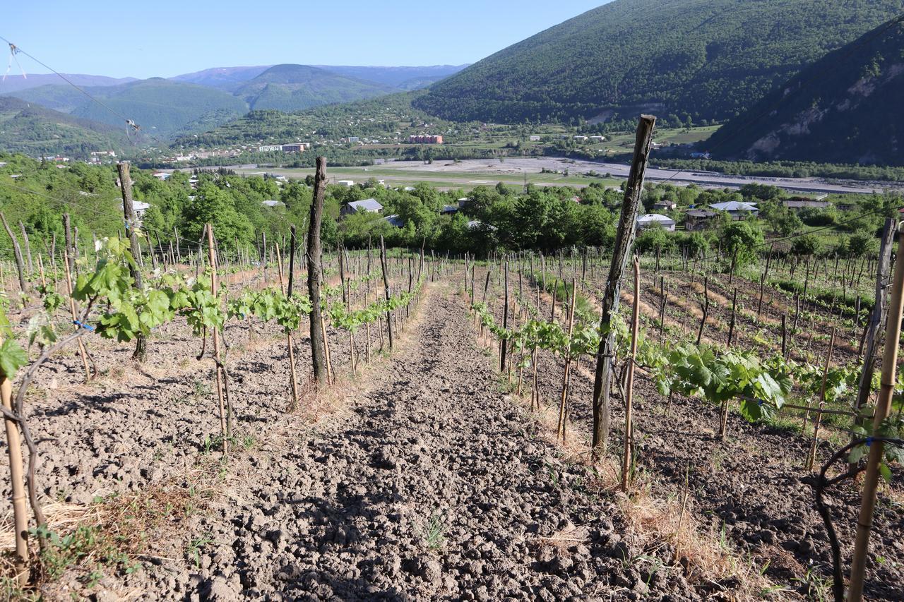 Chateau Dio Ambrolauri Eksteriør bilde
